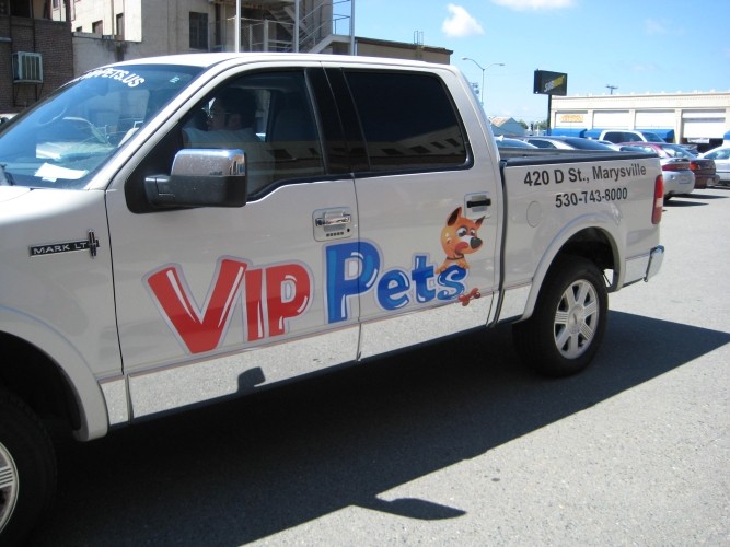 Vehicle Lettering