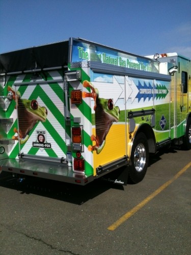 Vehicle Wraps